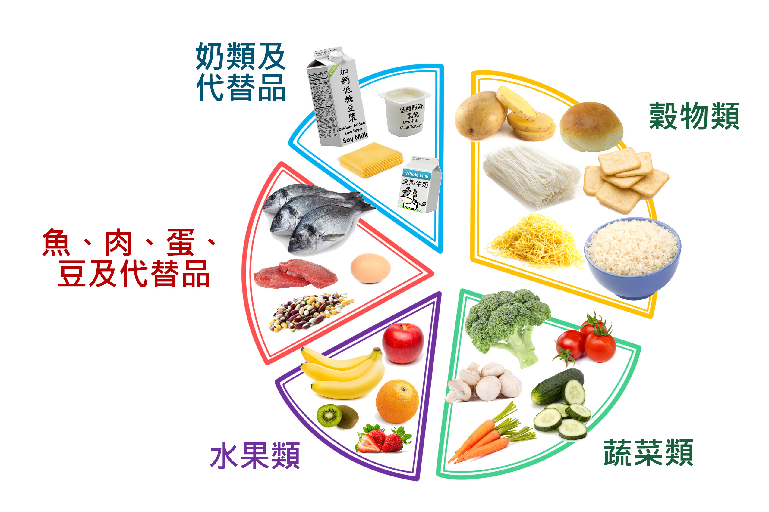 孩子一天的餐單,包括穀物類、蔬菜類、水果類、魚、肉、蛋、豆及代替品和奶類及代替品 孩子一天的餐單,包括穀物類、蔬菜類、水果類、魚、肉、蛋、豆及代替品和奶類及代替品